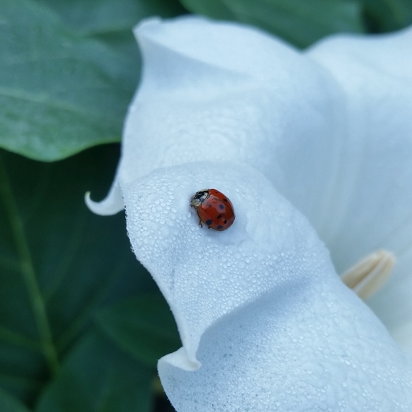 Meet your Posher, Majka - Picture 5 of 10